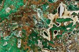 Polished Slab Of Malachite, Chrysocolla & Quartz - Australia #351981-1